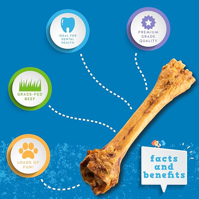Jack&amp;Pup 8-11” Shin Bones, Roasted Meaty Beef Bone for Dogs – Long Lasting Natural Dog Bones, Big Dog Bone for Large Dogs (1 Pack)