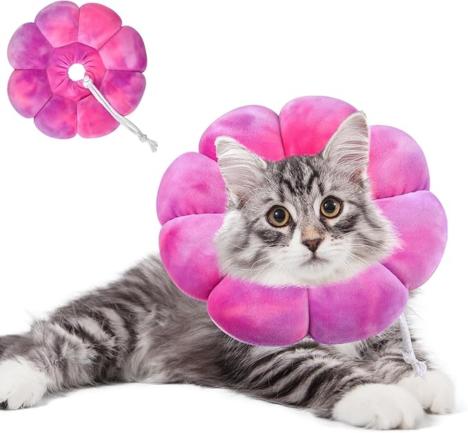Dog Cat Surgical Recovery Cone Dog Protective Collar, Pet Recovery E-Collar Soft Neck Cone to Stop Licking Wound for Cats &amp; Kittens Small Dog After Surgery