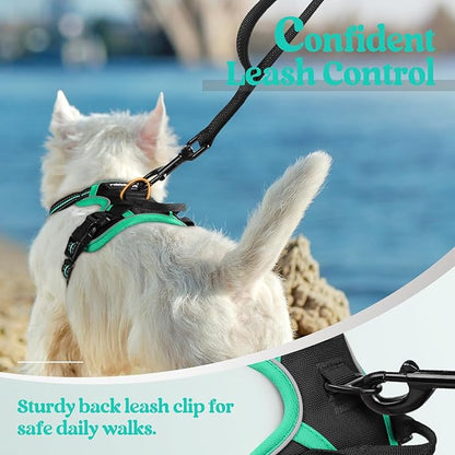 rabbitgoo Dog Harness No Pull with 2 Leash Clips, Adjustable Soft Padded, Reflective Oxford No Choke Pet Vest with Easy Control Handle for Puppy, Black &amp; Turquoise, XS
