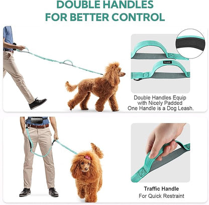 Hands Free Dog Leash, Retractable Bungee with Double Padded Handles, Waist Leash for Dog Walking, Heavy Duty Dog Leash for Medium &amp; Large Dog, Dog Walking Accessories, Green
