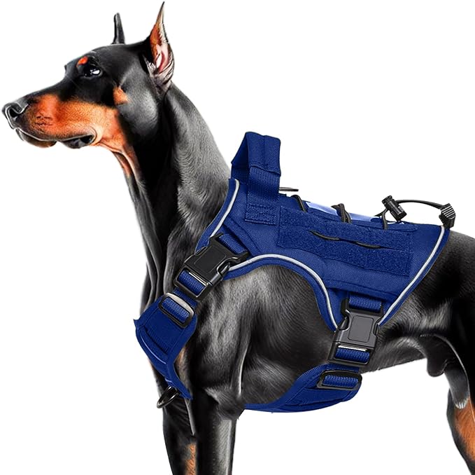 Heavy-Duty Tactical Dog Harness for Large Dogs, No Pull Adjustable Reflective Pet Vest with Molle System, K9 Military-Grade Control for Service Training, Outdoor &amp; 10+ Breeds, Dazzling Blue, Medium