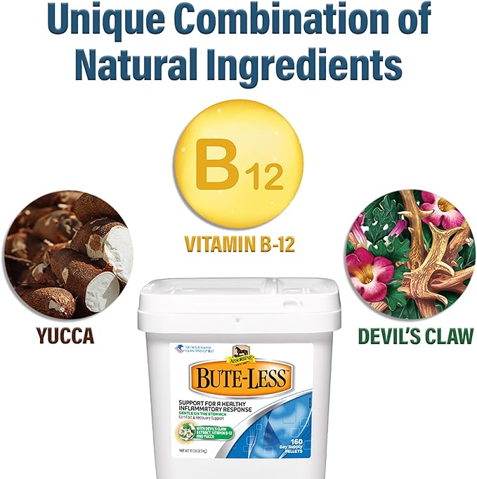 Absorbine Bute-Less Comfort &amp; Recovery Support Supplement, Provides Long-Term Comfort, Gentle on Stomach, Includes Devil’s Claw, Vitamin B-12, Yucca, 10 lb / 160 Day Supply