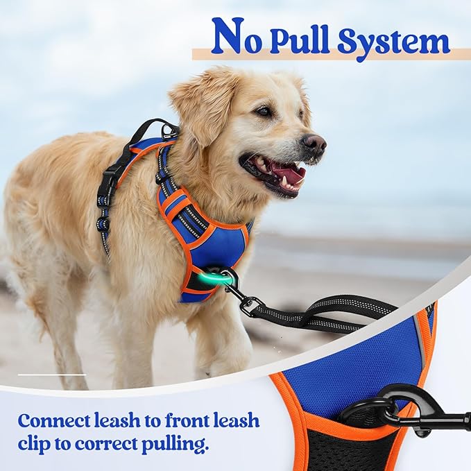rabbitgoo Dog Harness No Pull with 2 Leash Clips, Adjustable Soft Padded, Reflective Oxford No Choke Pet Vest with Easy Control Handle for Small Dogs, Blue &amp; Orange, S