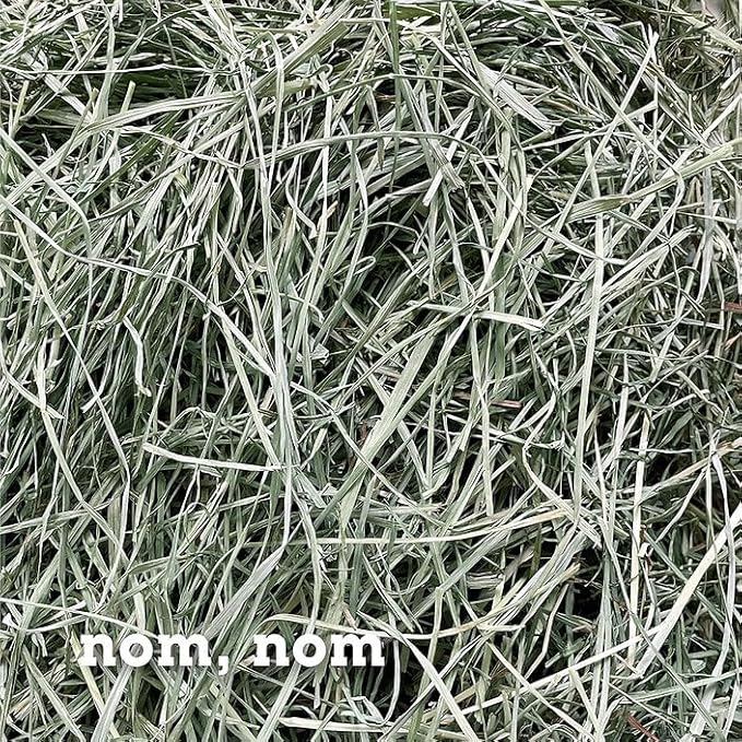 Bunny Honey Orchard Grass Hay for Guinea Pigs, Rabbits, Hamsters &amp; Small Pets Fresh, High-Fiber, Supports Digestive Health &amp; Dental Care, Non-Blended &amp; Fresh Cut
