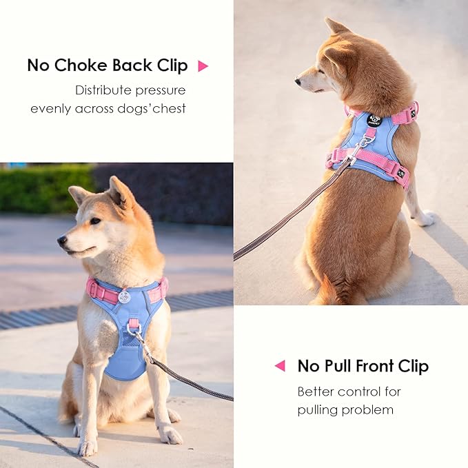 PHOEPET No Pull Dog Harness, Unique Colors Reflective Adjustable Dog Vest, with Soft Training Handle Metal Clips for Small Medium Large Dogs (Baby Blue Base &amp; Pink Straps,XL)