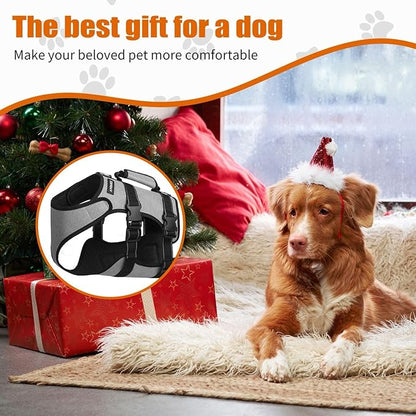 Ayquez Dog Lift Harness with Storage and Transport Bag, Dog Harness with Handle for Lifting &amp; Hip dysplasia, arnés para Perros pequeños, pechera para Perros (Gray, L)