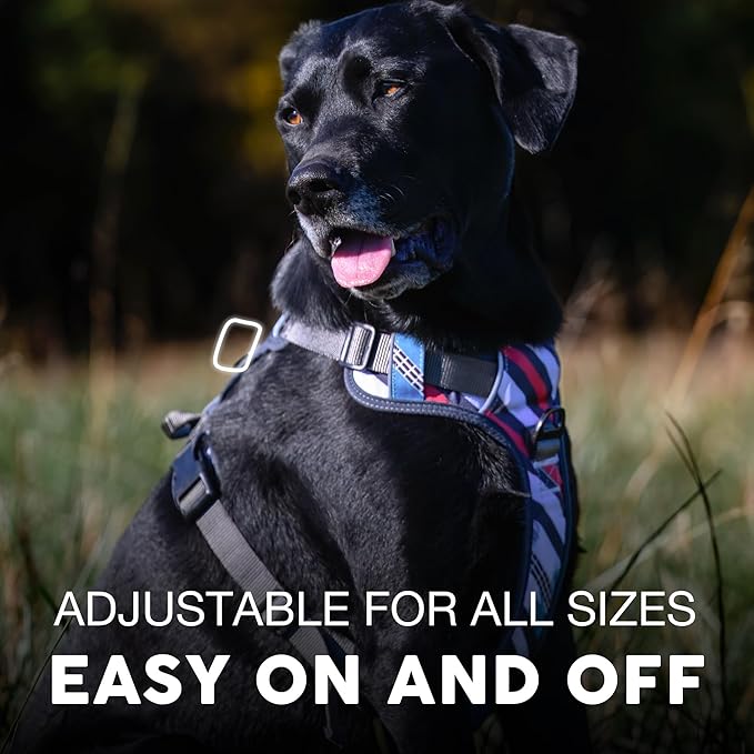 Embark Adventure Dog Harness, Reflective Trim XL Dog Harness for Extra Large Dogs No Pull - Military Grade Nylon, 2 Leash Clips &amp; Gel Lined Handle.