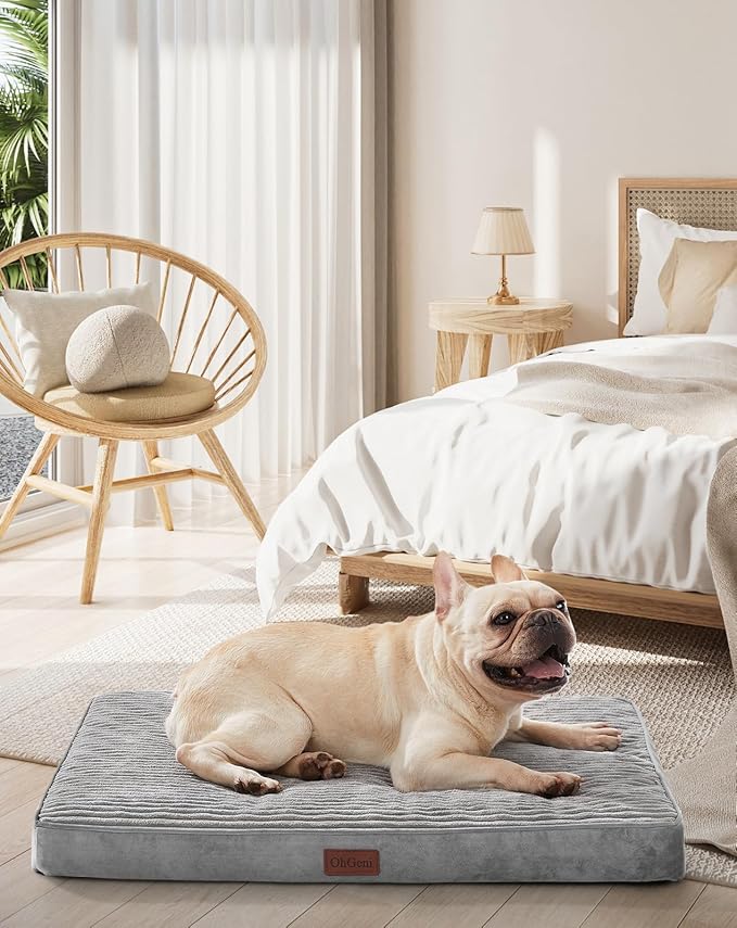 OhGeni Orthopedic Waterproof &amp; Machine Washable Dog Bed for Small Medium Pets, Suitable for Crates, Cat Mat with 25D Egg Crate Foam, Removable Cover &amp; Invisible Zipper, 30 Inches(Gray)