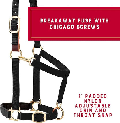 Weaver Equine Breakaway Horse Halter, Comfort Foam Padding, Adjustable Chin &amp; Throat Snap Halters for Horses, Equine Tack,Average Size