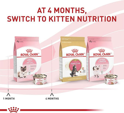 Royal Canin Feline Health Nutrition Mother &amp; Babycat Ultra Soft Mousse in Sauce Canned Cat Food, 3 oz can (12-count)