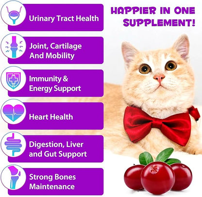 Cat Vitamins, 15 in 1 Cat Multivitamin Liquid Drops, Cats Vitamins and Supplements with Glucosamine and Probiotics, Vitamin for Cats Skin Coat, Immunity, Gut Digestion, Joint, Heart, 60ML