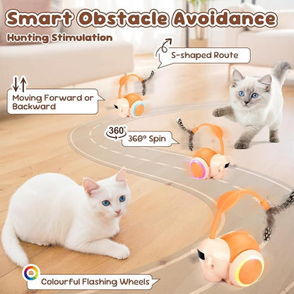 SlowTon Cat Interactive Toy for Indoor Cats - Remote Control Automatic Smart Moving Cat Toys with 2 Modes, Rechargeable Kitten Feather Toys for All Breeds of Bored Cats(Orange)
