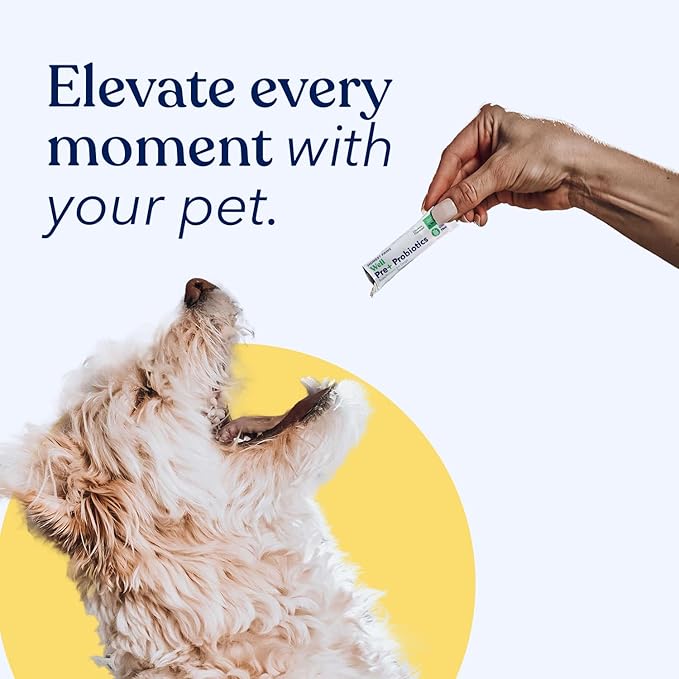 Honest Paws Probiotics for Dogs - Digestive &amp; Immune Support Powder with Prebiotic Made in The USA, Chicken Flavor (30 Sticks)