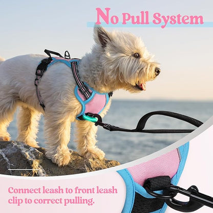 rabbitgoo Dog Harness No Pull with 2 Leash Clips, Adjustable Soft Padded, Reflective Oxford No Choke Pet Vest with Easy Control Handle for Puppy, Pink &amp; Blue, XS