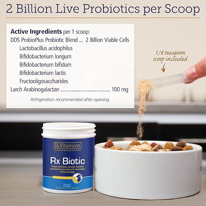 Rx Vitamins Rx Biotic - Probiotic Powder for Dogs and Cats - Cat Digestive Support &amp; Probiotic for Dogs Gut Health - Dog Probiotics for Digestive Health - 2.12oz