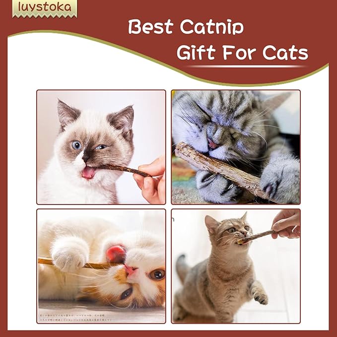 Cat Toys - Silvervine &amp; Matatabi Catnip Toys, 10PCS Indoor Kitty Chew Sticks &amp; Wand Toys for Bored Cats