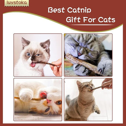 Cat Toys - Silvervine &amp; Matatabi Catnip Toys, 10PCS Indoor Kitty Chew Sticks &amp; Wand Toys for Bored Cats