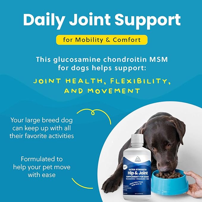 Concentrated Liquid Glucosamine for Large Dogs, Infused with MSM, 5200mg Chondroitin &amp; Glucosamine Liquid for Dogs Hip &amp; Joint Supplement for Mobility &amp; Comfort, 32 oz