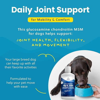 Concentrated Liquid Glucosamine for Large Dogs, Infused with MSM, 5200mg Chondroitin &amp; Glucosamine Liquid for Dogs Hip &amp; Joint Supplement for Mobility &amp; Comfort, 32 oz