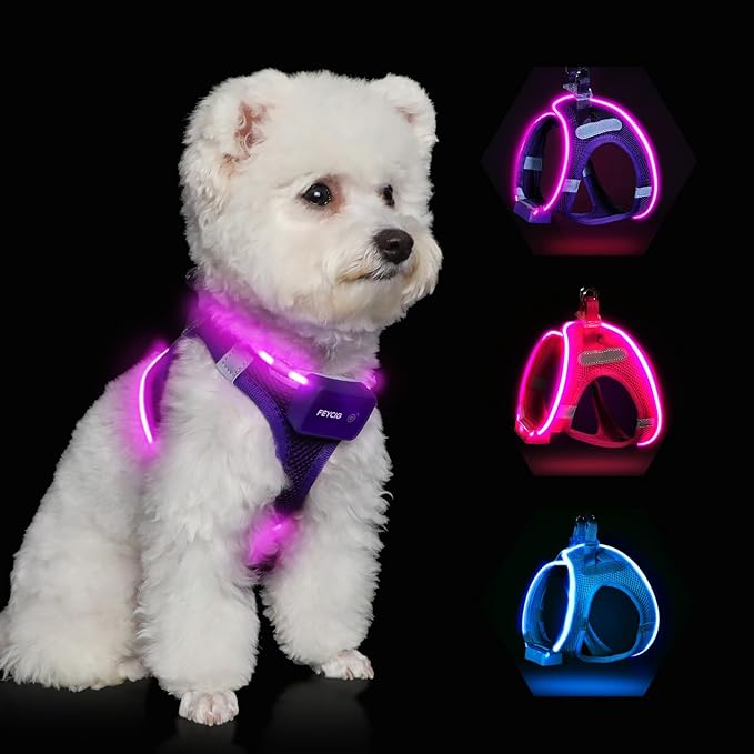 Light Up Dog Harness,Rechargeable LED Dog Harness for Small Medium Large Dogs,Reflective Lighted Safety Vest for Night Walking &amp; Camping,Lightweight &amp; Adjustable,Purple,XS