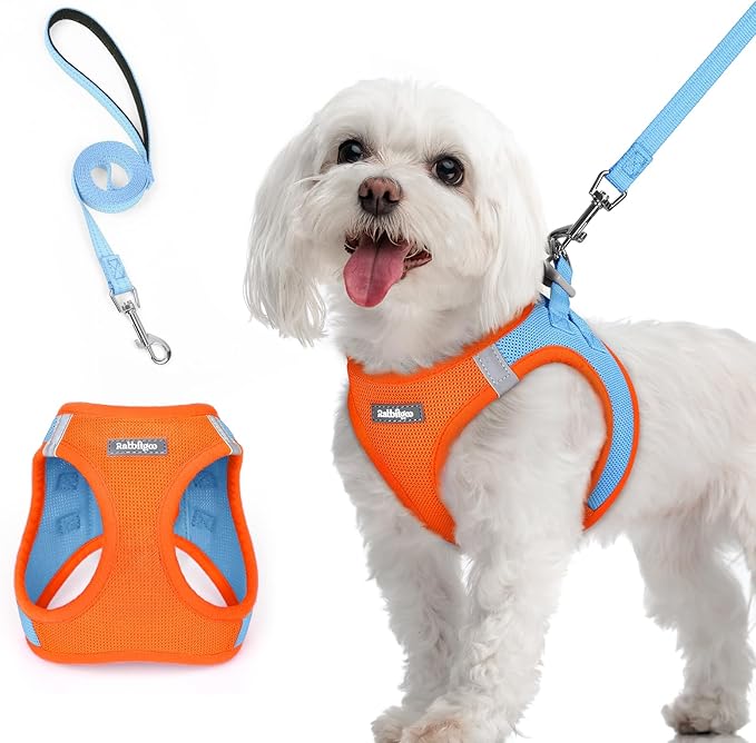 rabbitgoo Dog Harness Small Sized and Leash Set, Step in Soft Light Puppy Vest, Breathable Mesh Pet Harness, Reflective for Safe Easy Walking, Blue &amp; Orange M