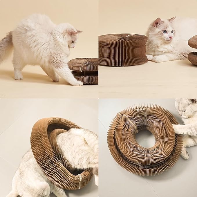 Magic Accordion Cat Scratching Board - Interactive Toy for Bored Indoor Cats, Fun &amp; Durable Cat Toys 2Pack