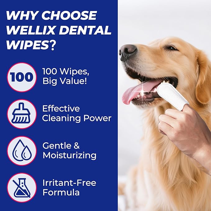 Wellix 100 Count Dog Teeth Cleaning Wipes for Dogs &amp; Cats - Natural Formula Dental Care Finger Wipes Reduces Dog Plaque, Tartar &amp; Bad Breath - No-Rinse Disposable Dog Dental Wipes