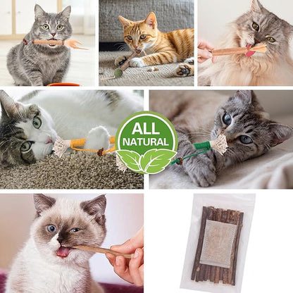 Cat Toys Cat Chew Toys, Silvervine Sticks Catnip Rope Toys for Cats Teeth Cleaning, Kitten Dental Care, Kitty for Indoor Cats Increase Appetite,Enhances Oral &amp; Dental Health (20 Pack)