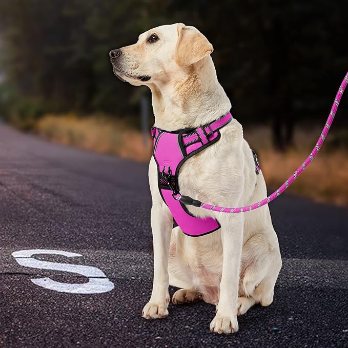 IVY&amp;LANE No Pull Dog Harness for Large Dogs, Dog Vest Harness with Leash, Safety Belt and Storage Strap, Fully Adjustable Harness, 360° Reflective Strip, Soft Handle (Fuchsia Pink, L)