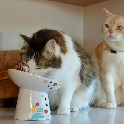 Necoichi Extra Wide Raised Cat Food Bowl, Elevated, Prevent Neck &amp; Whisker Fatigue, Dishwasher and Microwave Safe, No.1 Seller in Japan! (Fuji, Extra Wide Tilted)