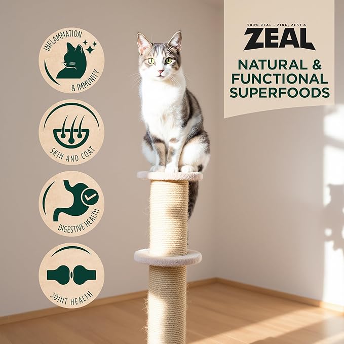 ZEAL Canada Air-Dried Cat Food Chicken Recipe - High Protein, Natural Superfoods, Nutrient Rich, No Fillers, Grain Free, Complete &amp; Balanced (Chicken, 14.1 oz)