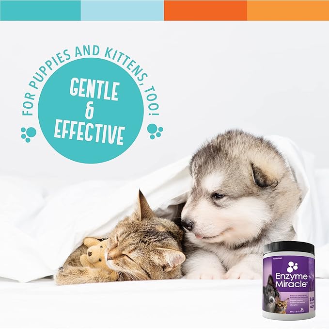 Digestive Enzymes for Dogs &amp; Cats : Protein, Carbs, Starches &amp; Fats Digestion : Supports Diet Change : Enzyme Miracle (364 Scoops, Powder)