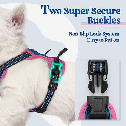 rabbitgoo Dog Harness No Pull with 2 Leash Clips, Adjustable Soft Padded, Reflective Oxford No Choke Pet Vest with Easy Control Handle for Large Dogs, Blue &amp; Hot Pink, XS