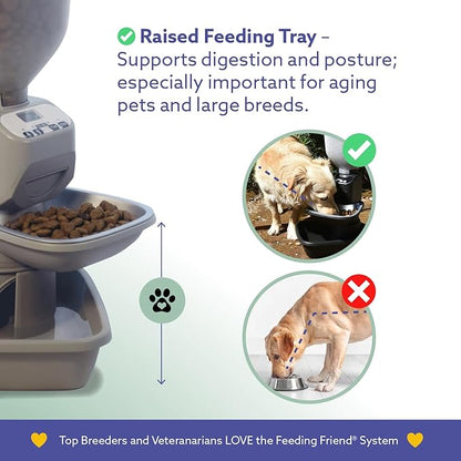 Automatic Dog &amp; Cat Food Feeder with Water Dispenser – Smart Pet Feeder with Portion Control, OLED Display, Anti Jam Design, Battery Operated Dispenser for Small Pets - Taupe