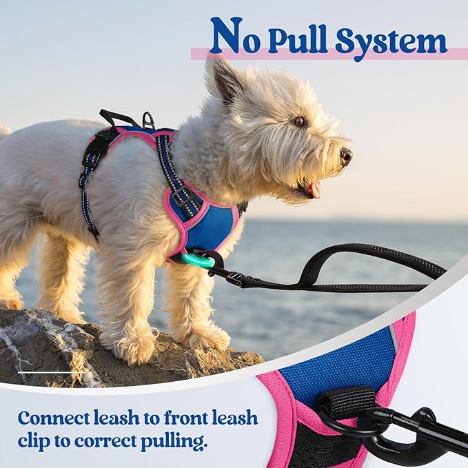 rabbitgoo Dog Harness No Pull with 2 Leash Clips, Adjustable Soft Padded, Reflective Oxford No Choke Pet Vest with Easy Control Handle for Large Dogs, Blue &amp; Hot Pink, XS