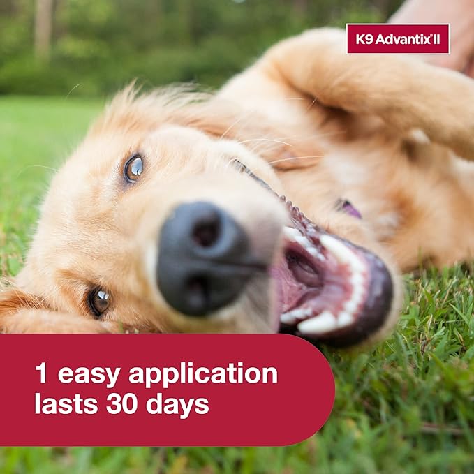 K9 Advantix II Large Dog Vet-Recommended Flea, Tick &amp; Mosquito Treatment &amp; Prevention | Dogs 21-55 lbs. | 6-Mo Supply (Pack of 2)