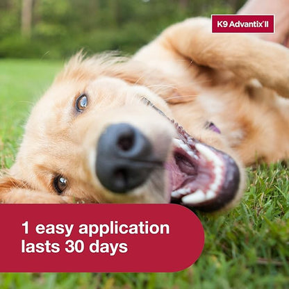 K9 Advantix II Large Dog Vet-Recommended Flea, Tick &amp; Mosquito Treatment &amp; Prevention | Dogs 21 - 55 lbs. | 4-Mo Supply