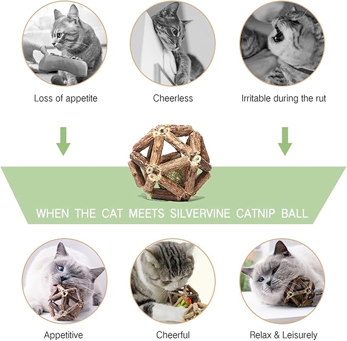 Catnip Toys-2Pcs Natural Silvervine Stick Catnip Ball&amp;Bell Ball-Cat Toys for Indoor Cats- Cleaning Teeth Molar Tools Matatabi Cat Chew Toy-Kitten Toys All Breeds