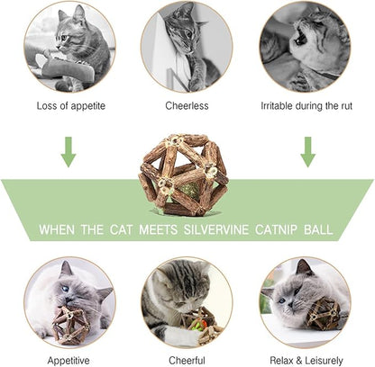 Catnip Toys-2Pcs Natural Silvervine Stick Catnip Ball&amp;Bell Ball-Cat Toys for Indoor Cats- Cleaning Teeth Molar Tools Matatabi Cat Chew Toy-Kitten Toys All Breeds