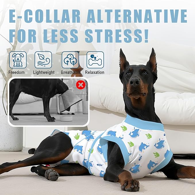 Recovery Suit for Dogs After Surgery, Professional Dog Surgical Suit for Female Spay, Male Neuter, E-Collar &amp; Cone Alternative Dog Onesie for Abdominal Wounds Skin Disease, Blue, M