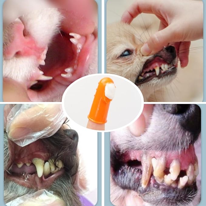 4 Pack Pet Tooth Brushing Kit – Extra Soft Finger Toothbrushes for Cats &amp; Dogs Gentle Plaque &amp; Tartar Removal, Freshens Breath Pain-Free Teeth Cleaning for Small to Large Pets