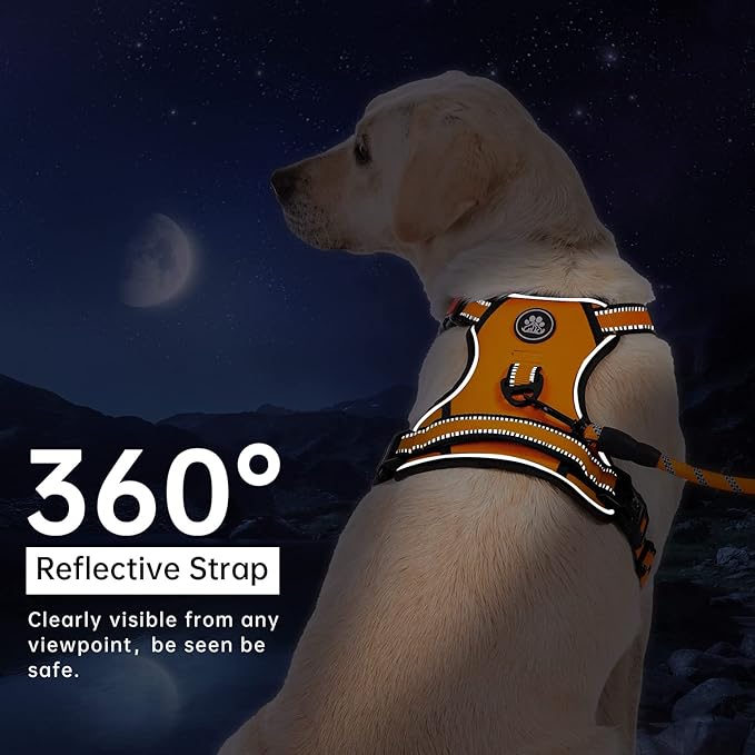 IVY&amp;LANE No Pull Dog Harness for Medium Dogs, Dog Vest Harness with Leash, Safety Belt and Storage Strap, Fully Adjustable Harness, 360° Reflective Strip, Soft Handle (Orange, M)