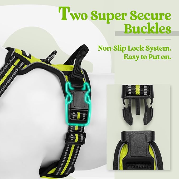 rabbitgoo Dog Harness No Pull with 2 Leash Clips, Adjustable Soft Padded, Reflective Oxford No Choke Pet Vest with Easy Control Handle for Medium Sized Dogs, Green, M