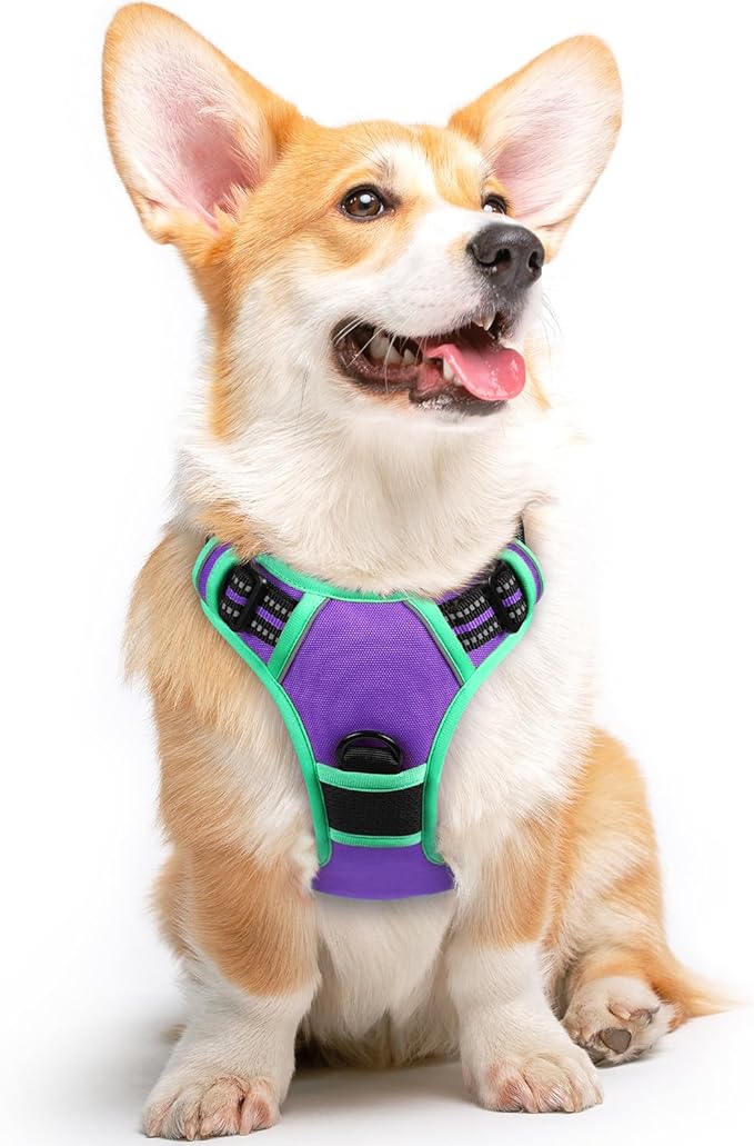 Eagloo Dog Harness for Large Dogs, No Pull Service Vest with Reflective Strips and Control Handle, Adjustable and Comfortable for Walking, No Choke Harness with 2 Metal Rings, Purple &amp; Green, M