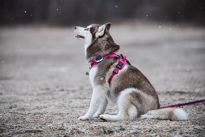 TRUE LOVE Adjustable No-Pull Dog Harness Reflective Pup Vest Harnesses Comfortable Control Brilliant Colors Truelove TLH5651(Fushcia,XL)