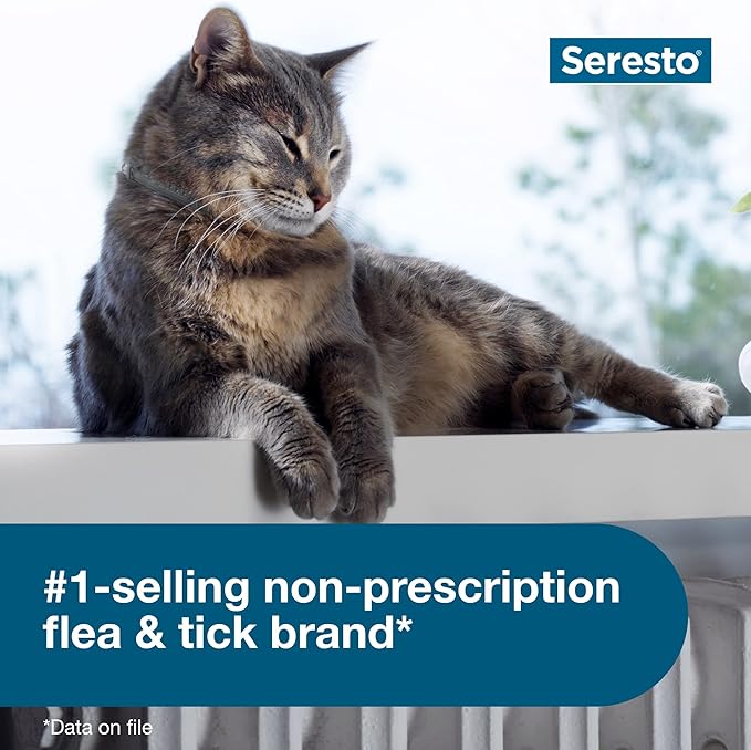 Seresto Cat Vet-Recommended Flea &amp; Tick Treatment &amp; Prevention Collar for Cats | 8 Months Protection
