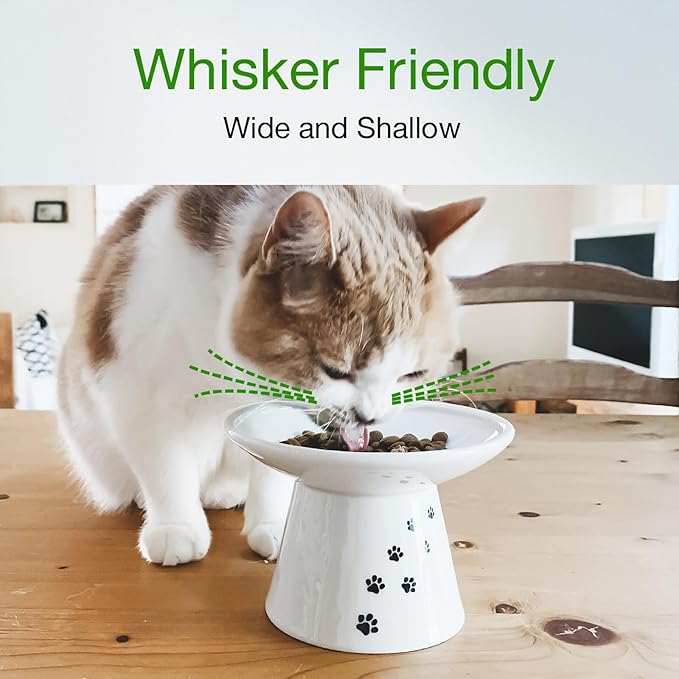 Necoichi Extra Wide Raised Cat Food Bowl, Elevated, Prevent Neck &amp; Whisker Fatigue, Dishwasher and Microwave Safe, No.1 Seller in Japan! (Cat, Extra Wide)