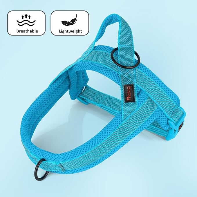 Didog No Pull Dog Harness with Breathable Mesh Padded, Full Reflective &amp; Quick Fit Adjustable Vest Harness, Easy for Training Walking for Small &amp; Medium and Large Dogs (Blue, S:Chest 18-22")
