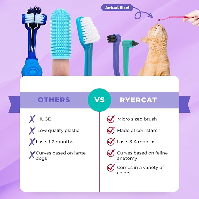 RYERCAT Set of 2 Dual Sided Cat Toothbrush - Kitten Toothbrush with Micro Head to fit into Cat/Kittens Mouth - Cat Dental Care Supplies - Pet Toothbrush for Cats(Amethyst Purple &amp; Ocean Blue)