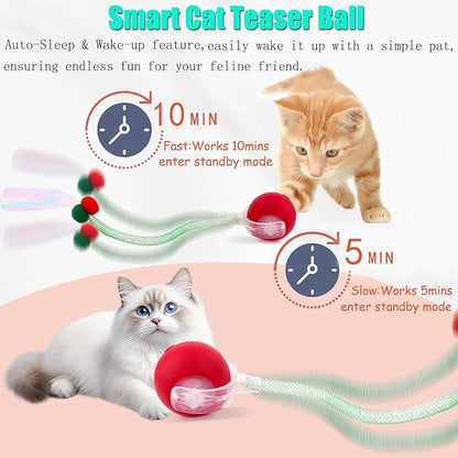 2 Packs Speed 2.0 Tail Interactive Cat Toys for Indoor Cats, Chirping &amp; Motion Activate Ca t Toy, Smart Kitten Rolling Ball Moving Ball Toys, Rechargeable Dog Cat Bal l for Enrichment Exercise